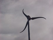 Story image 3_6