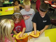 Story image 1_14