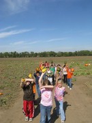 Story image 1_7