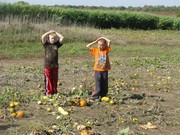 Story image 1_10