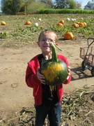Story image 1_11