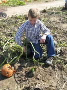 Story image 1_12