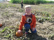 Story image 1_13